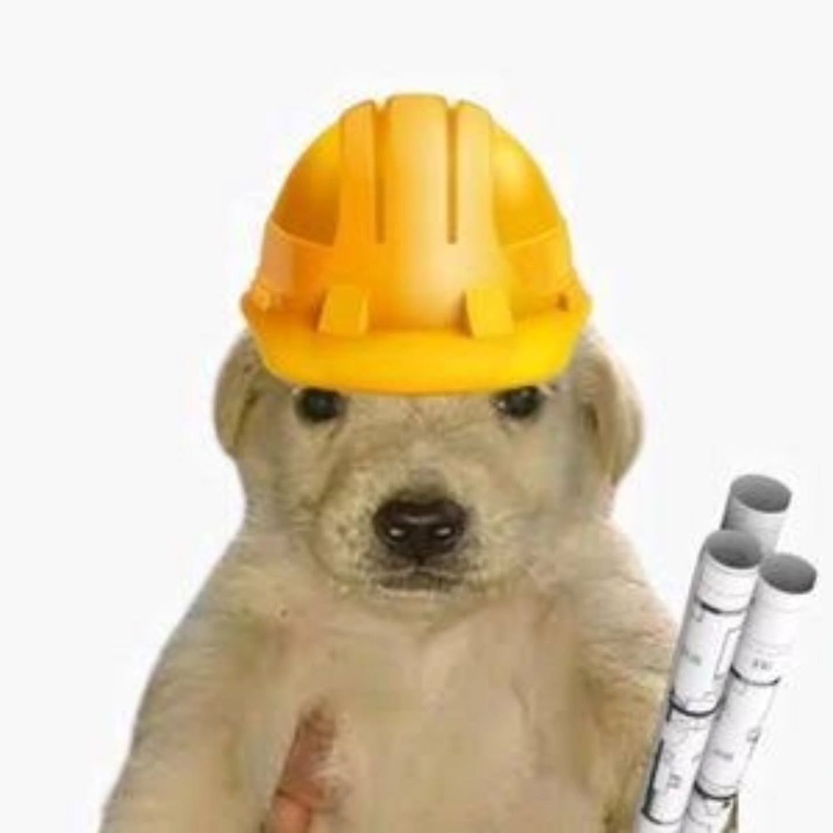 En construcción